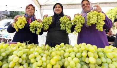 Mersin Büyükşehir Belediye Başkanı Vahap Seçer, Akdeniz meyve sineğiyle mücadeleye katkı yapacak