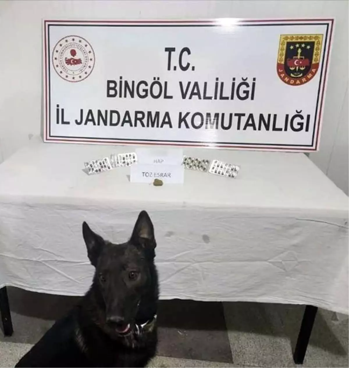 Bingöl’de Uyuşturucu Operasyonu