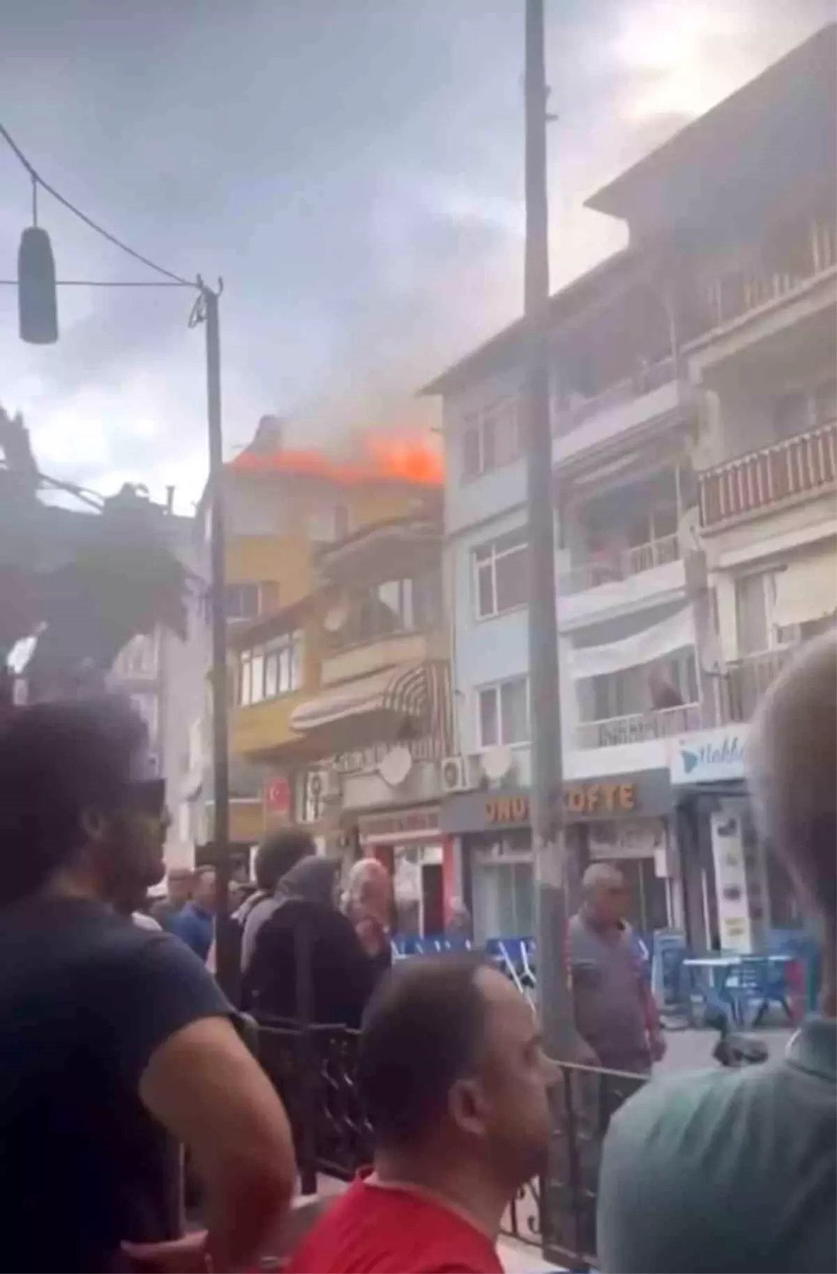 Gemlik’teki Yangın Kısa Sürede Kontrol Altına Alındı